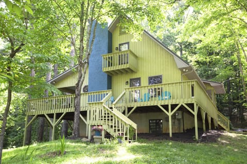 Tree Loft wrap-around deck in the treetops