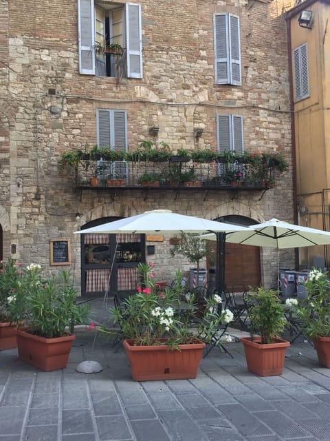Plant, Window, Property, Flower, Flowerpot, Houseplant, Building, Lighting, Road Surface, Umbrella