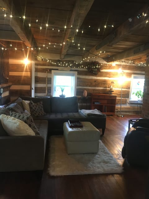 Cabin Living Room
