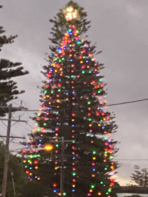 Christmas tree lit - view from front yard