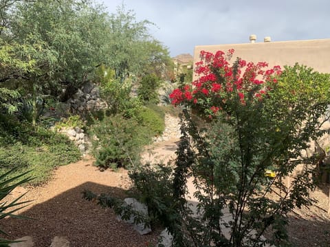 View out the front window, pleasant flowers and trees.