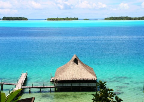 The Over Water Bungalow overlooks the beautiful lagoon of Bora Bora