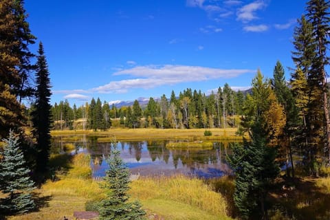 View overlooking private pond.