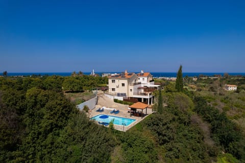 Aerial views of pool and property
