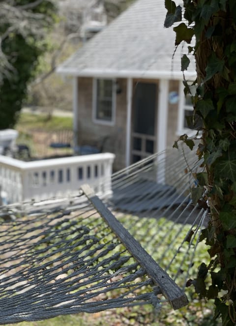 Relax on the hammock in the shade of the backyard. 