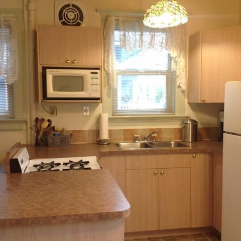 Fully equipped kitchen with gas stove.