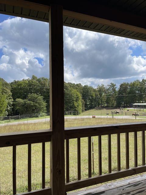 Living room view to the east