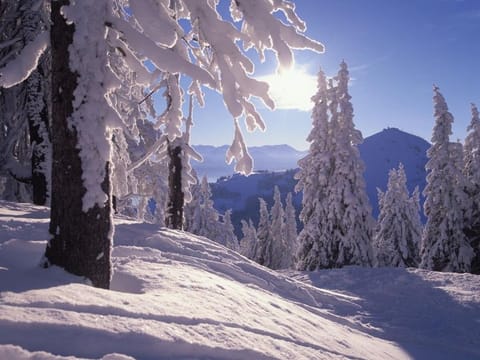 Vacation apartment Hauser Apartment in Salzburgerland