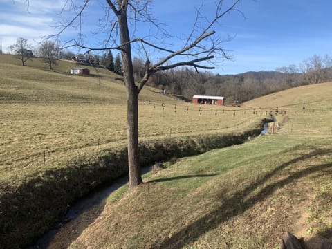 View from Deck creekside