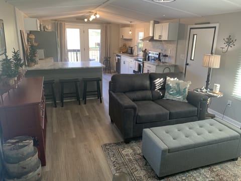 Living room and kitchen