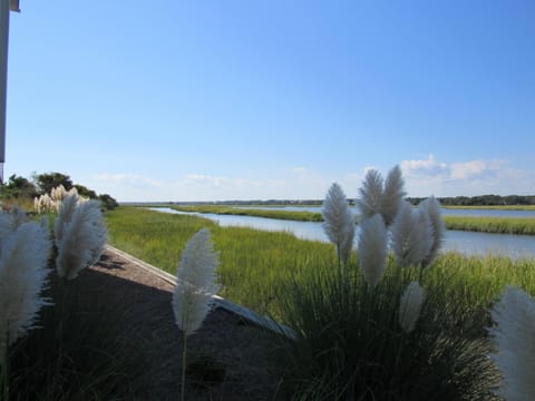 great views of island backwaters