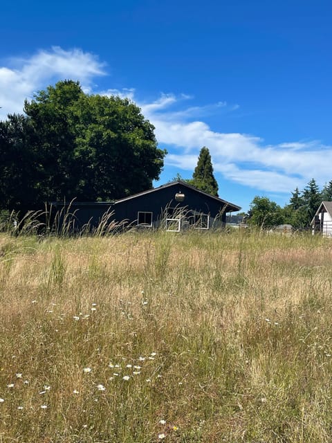 Barn on property viewable from back of house 