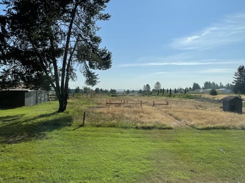 View from the back deck