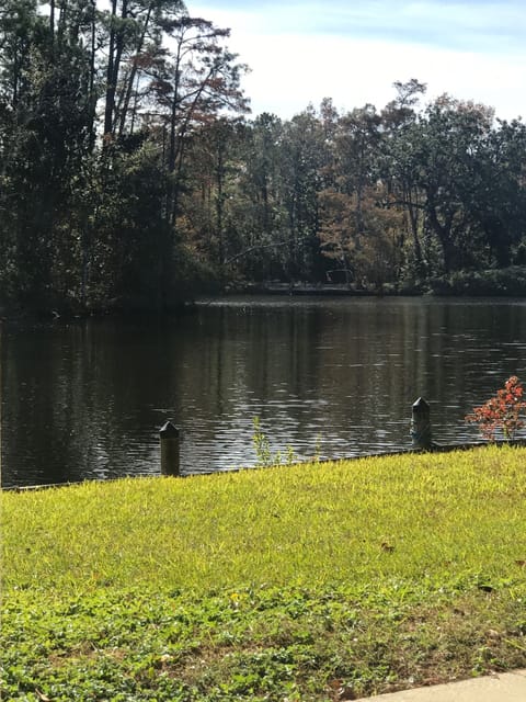 View of River from downstairs porch. 