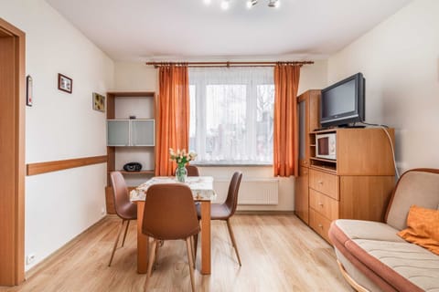 A spacious main area with a dining table, chairs, and a large window that fills the room with natural light. A TV is positioned for easy viewing from the dining area.
