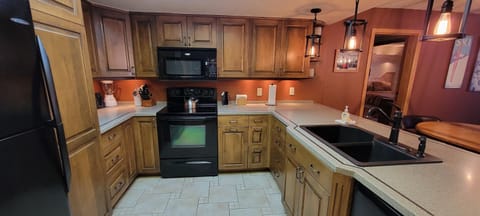 Microwave, refrigerator, dishwasher, stove to help with any meals.