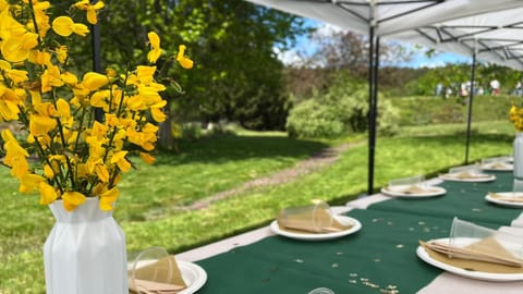 Outdoor banquet area