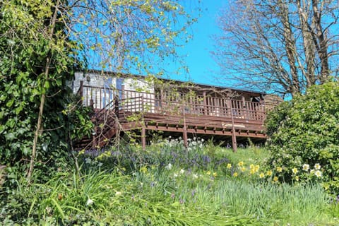 Treetops Lodge