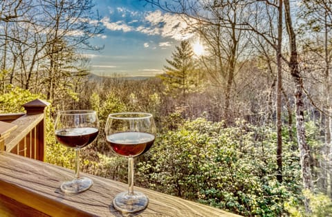 View from the large wrap around deck 🤩