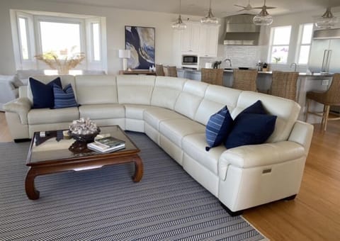 Living room and Kitchen