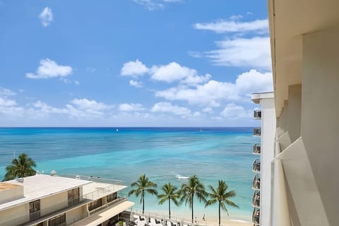 Gaze out over palms and shoreline from above the surf.