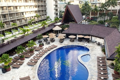 Stroll down to a serene pool deck with palms.