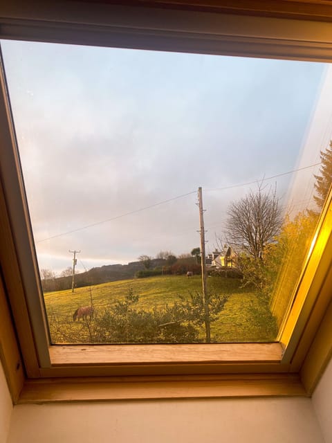 View from main bedroom window