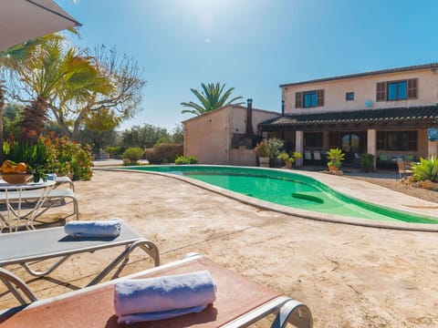 Plant, Sky, Property, Building, Shade, Window, Tree, Swimming Pool, Outdoor Furniture, House