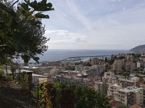 Cloud, Sky, Plant, Property, Building, Vegetation, Tree, Terrain, Landscape, Morning