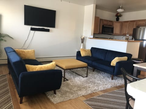 Living room with 2 sofa beds
