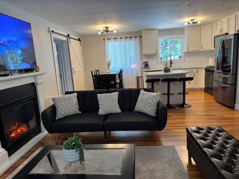 Open Concept Kitchen/living room