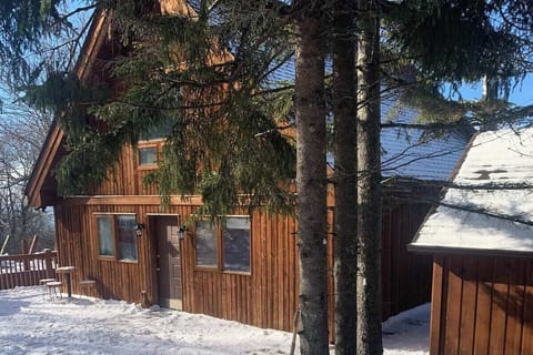 Snow Day before adding Ski Lift