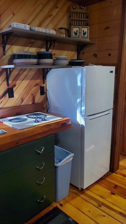 Refrigerator / Freezer,  two burner stove top