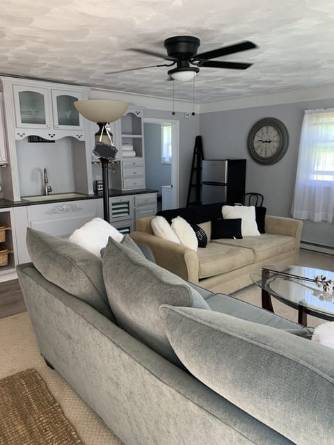 Full living area with flat screen tv, kitchenette, and 2 couches. 