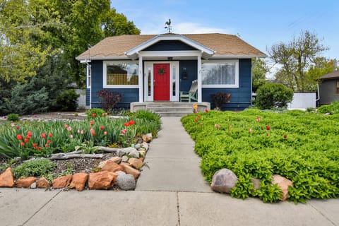 Every month something new is blooming in the front yard.  Spring brings Tulips, Peonies & flowering trees.  Summer the Sunflowers come out and during fall the trees transform and wild strawberries grow.