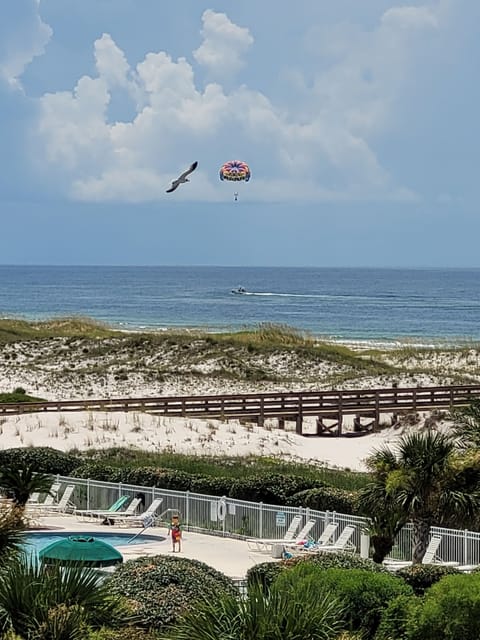 Paragliding anyone??
