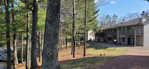 Lakeside view of condo units.