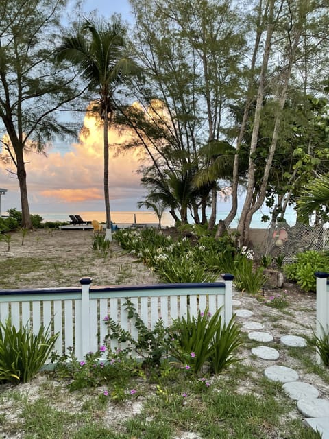 Palmetto Cottage with perfect views!
On the beachside.