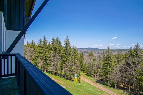 This is the view from the balcony.