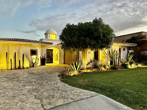 Front yard