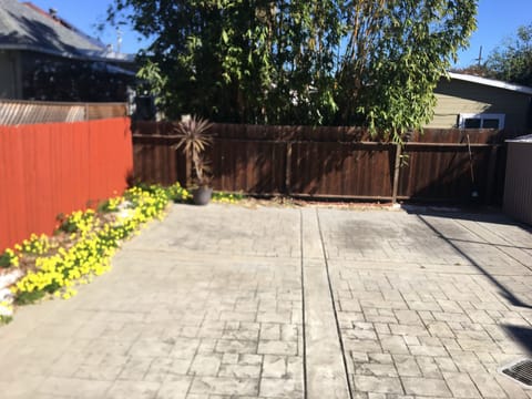 View of back yard from the house's back door