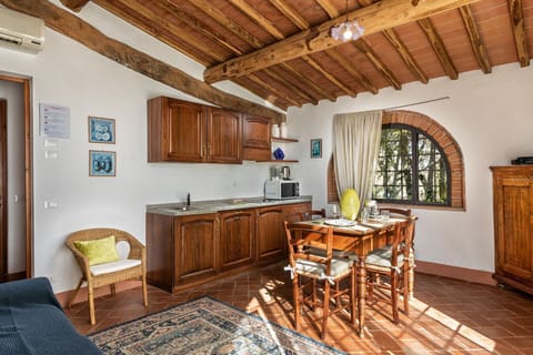 agriturismo-la-papessa-chianti-san-donato-farmhouse-ibisco-living-room