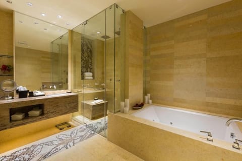 Bathroom with a shower and tub. The essential toiletries and towels are provided