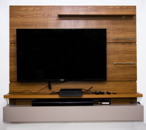 Television