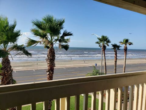 View From Balcony