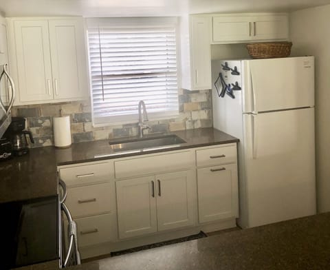 Newly remodeled kitchen with everything you’d need (except chef/bartender)