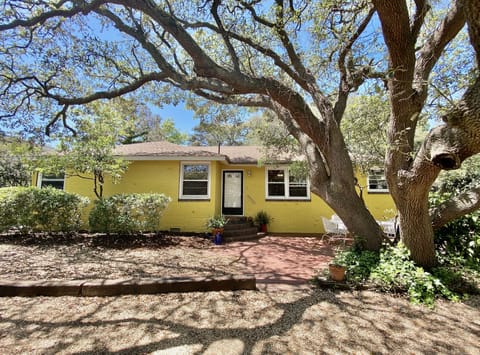 Welcome to Live Oaks Beach Club!