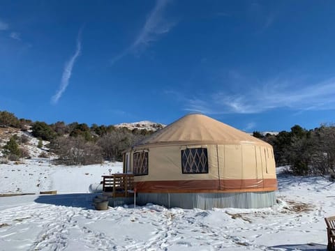 Yes, we shovel and plow for you (unless you enjoy that kind of thing)