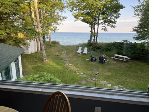 View from the large picture window