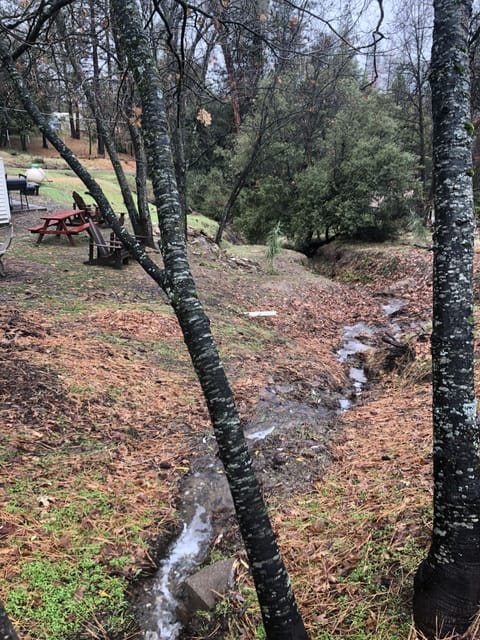 Behind house- firepit area-water run off in winter, dry in summer. small canyon